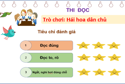 🎉 Chuyên đề XÂY DỰNG VÀ TỔ CHỨC “TIẾT HỌC HẠNH PHÚC” ở Tiểu học 🎉